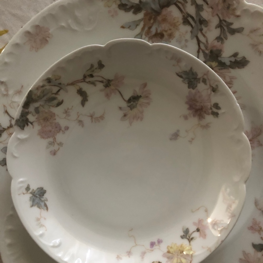 Haviland Limoges Antique dishes